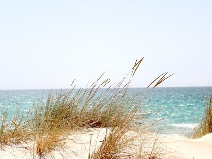 נינדורף Kleines Strandhotel מראה חיצוני תמונה